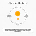 CYMBIOTIKA Vitamin C Liposomal for Immune & Skin Health

