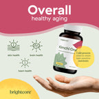 Kimchi One by Brightcore Nutrition – Gut Health Support

