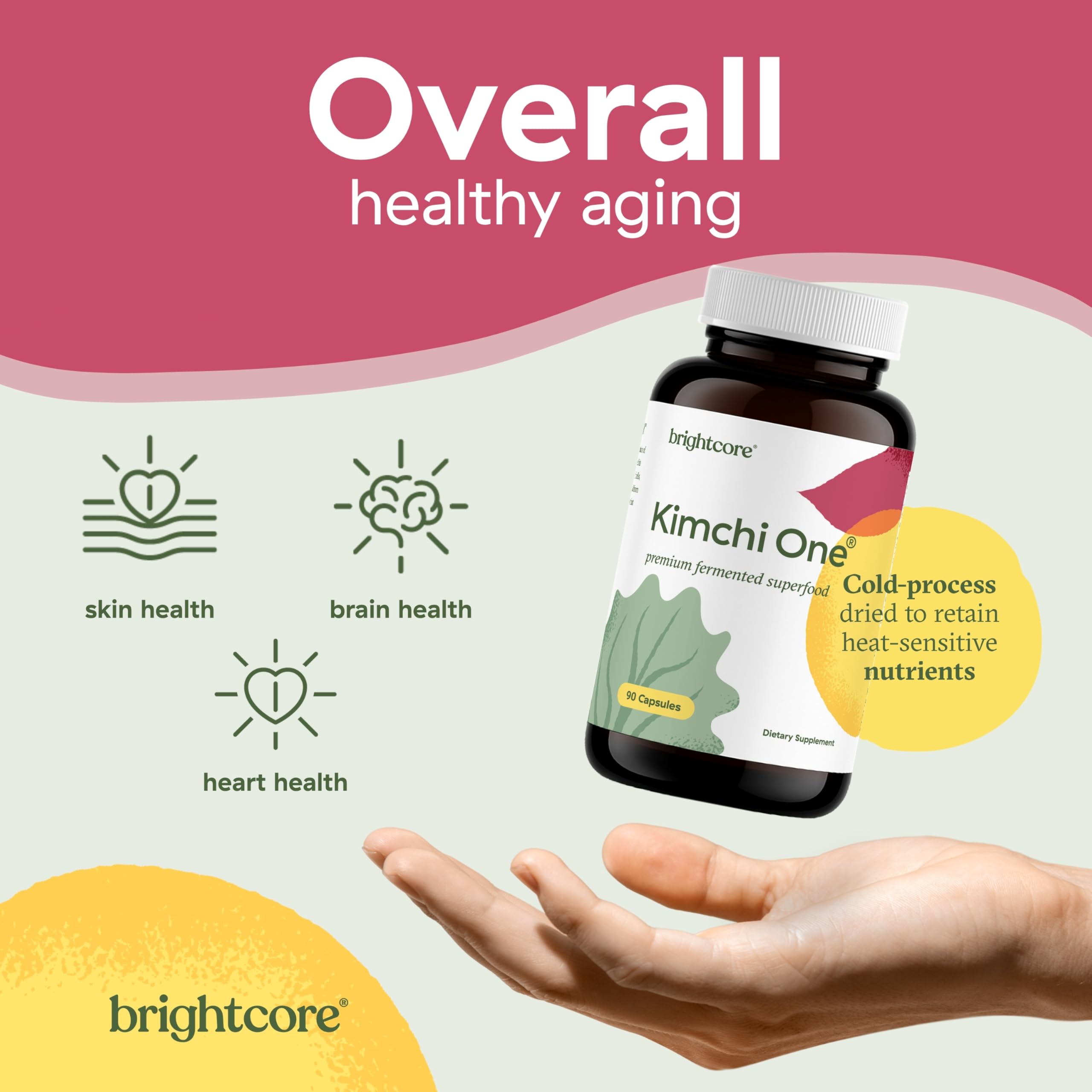 Kimchi One by Brightcore Nutrition – Gut Health Support


