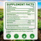 PWERD Oregano Oil Softgels with Black Seed for Immune Support

