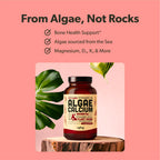 Sapling Algae Calcium Supplement | Bone Health


