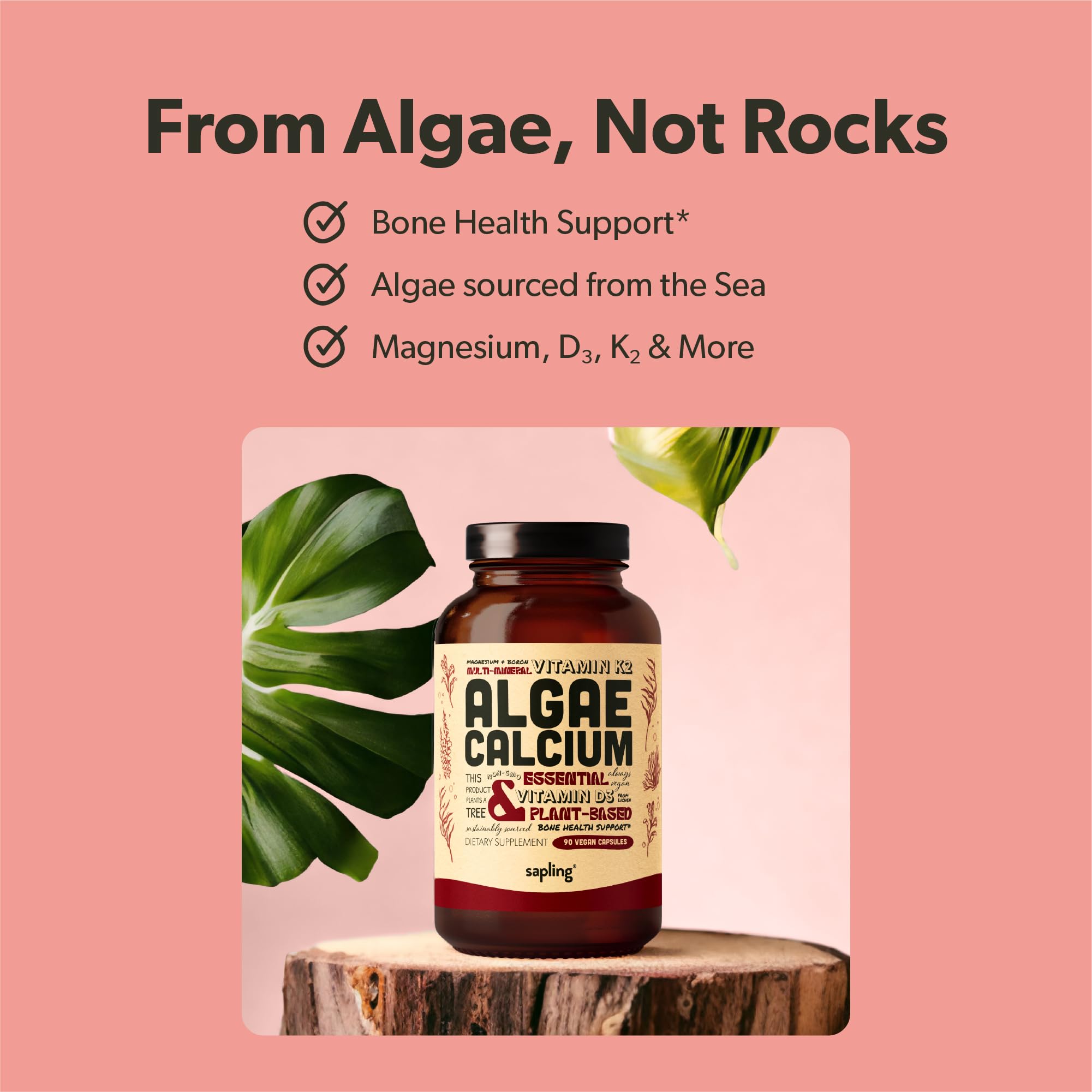 Sapling Algae Calcium Supplement | Bone Health

