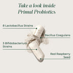 Primal Harvest Probiotics for Women & Men - Gut Health

