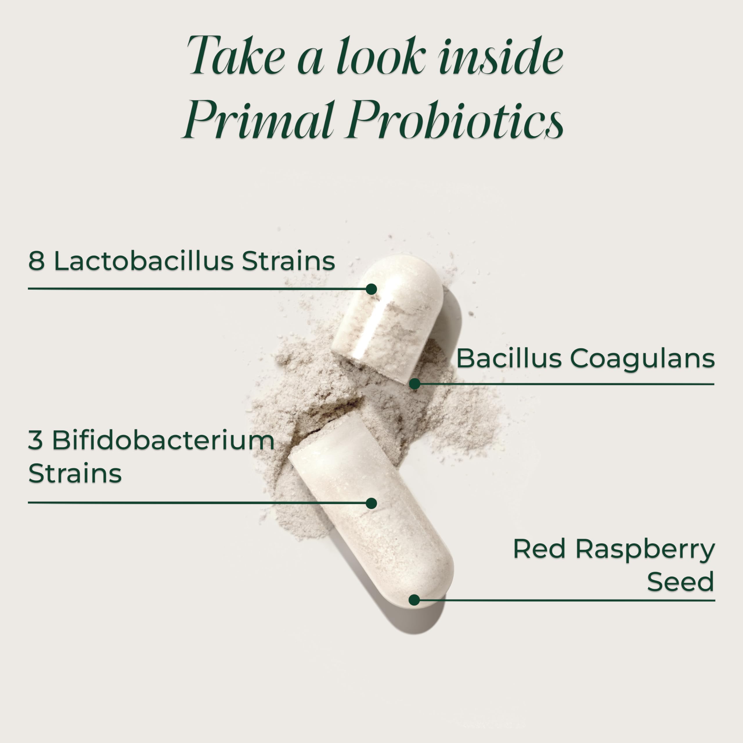 Primal Harvest Probiotics for Women & Men - Gut Health


