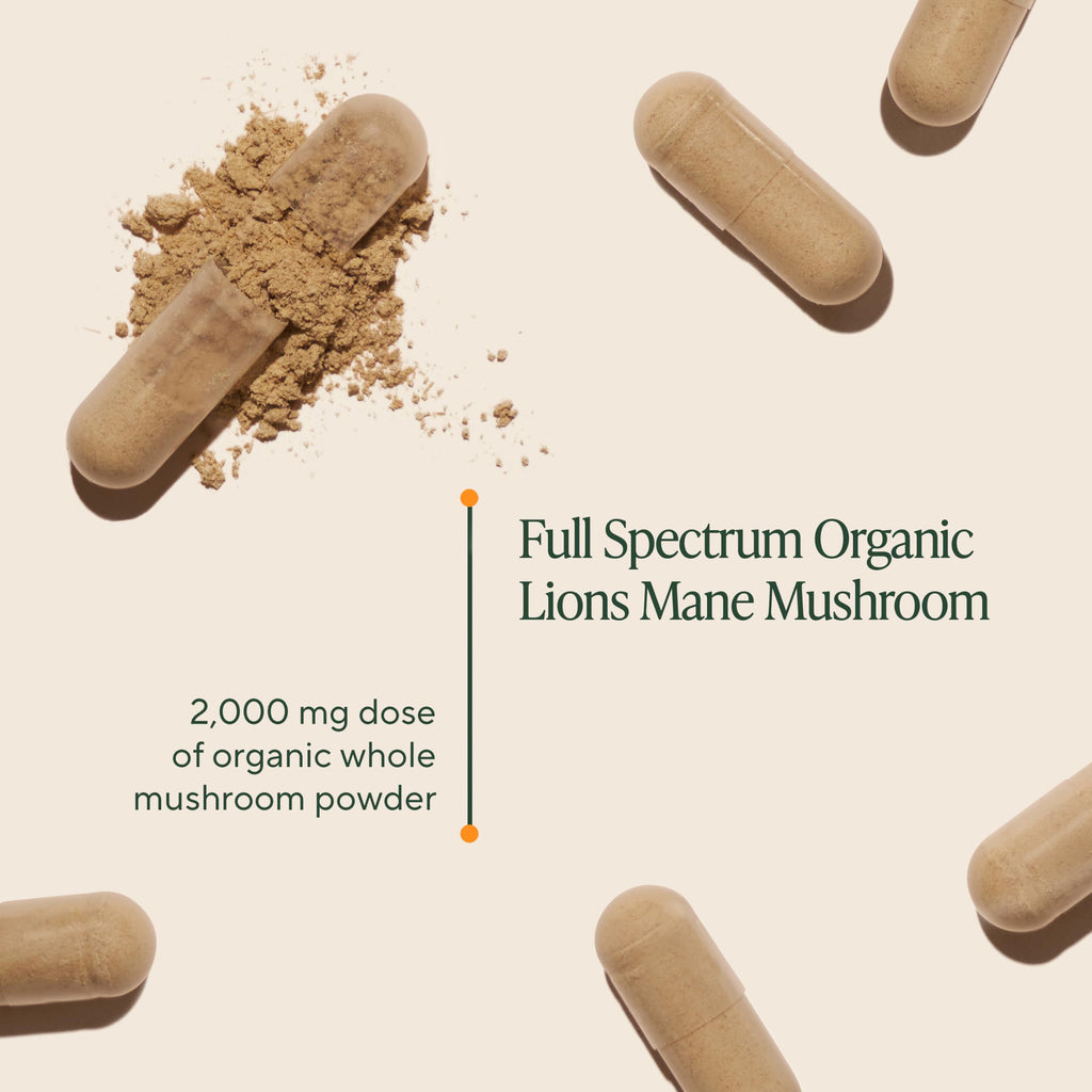 Om Lion’s Mane Mushroom Capsules for Brain Support

