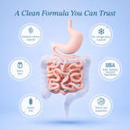 Vitamin Bounty Probiotics for Digestive Health

