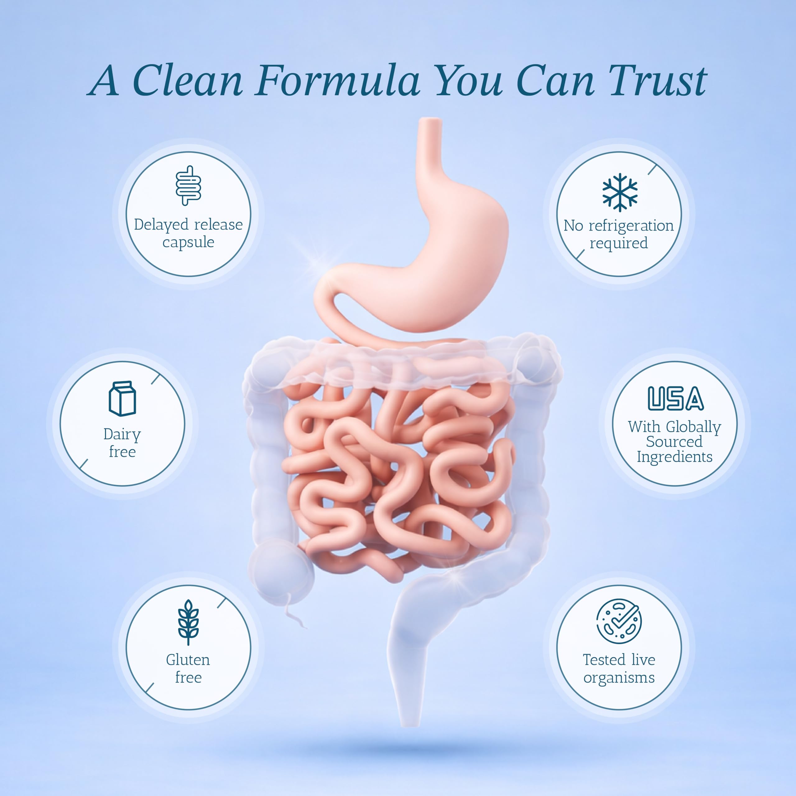 Vitamin Bounty Probiotics for Digestive Health

