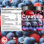 Fitfido Creatine Monohydrate Gummies | Muscle Support

