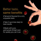 Be Bodywise Himalayan Shilajit Gummies Gold – Lab Tested

