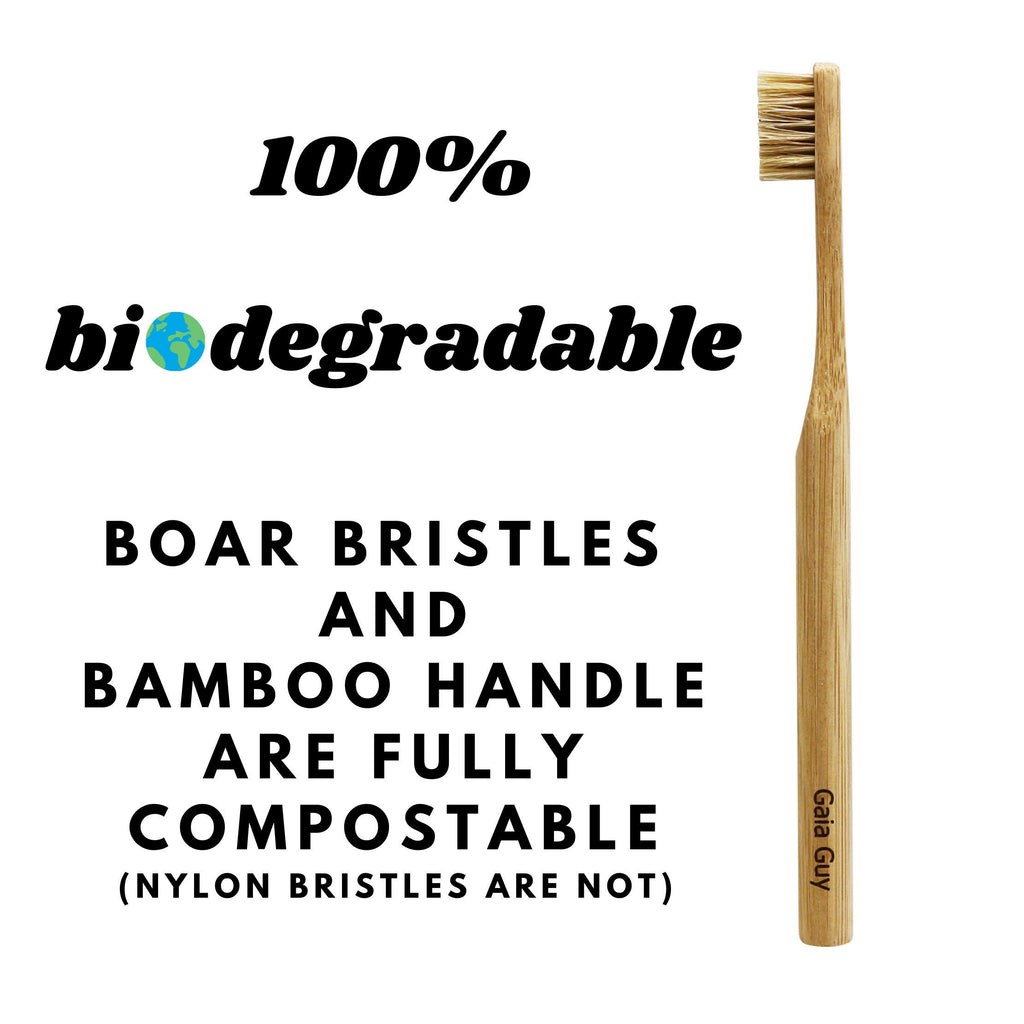 Gaia Guy Bamboo Toothbrush | Eco Friendly

