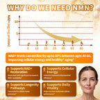 Vivonu Liposomal NMN Supplement | 15-in-1 NAD+ Support

