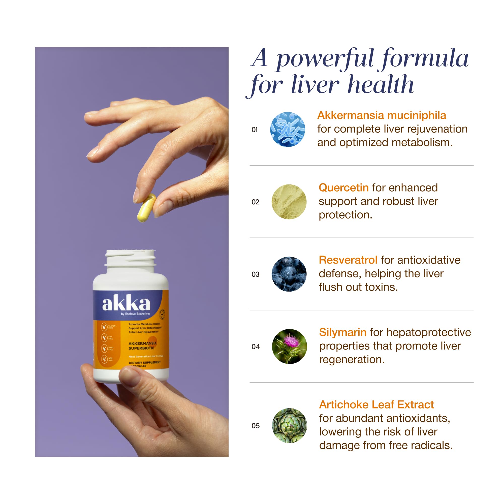 AKKA Akkermansia Probiotic Liver Detox – Liver Health

