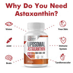 Osasuna Liposomal Astaxanthin 24 mg | Gluten Free, Non-GMO

