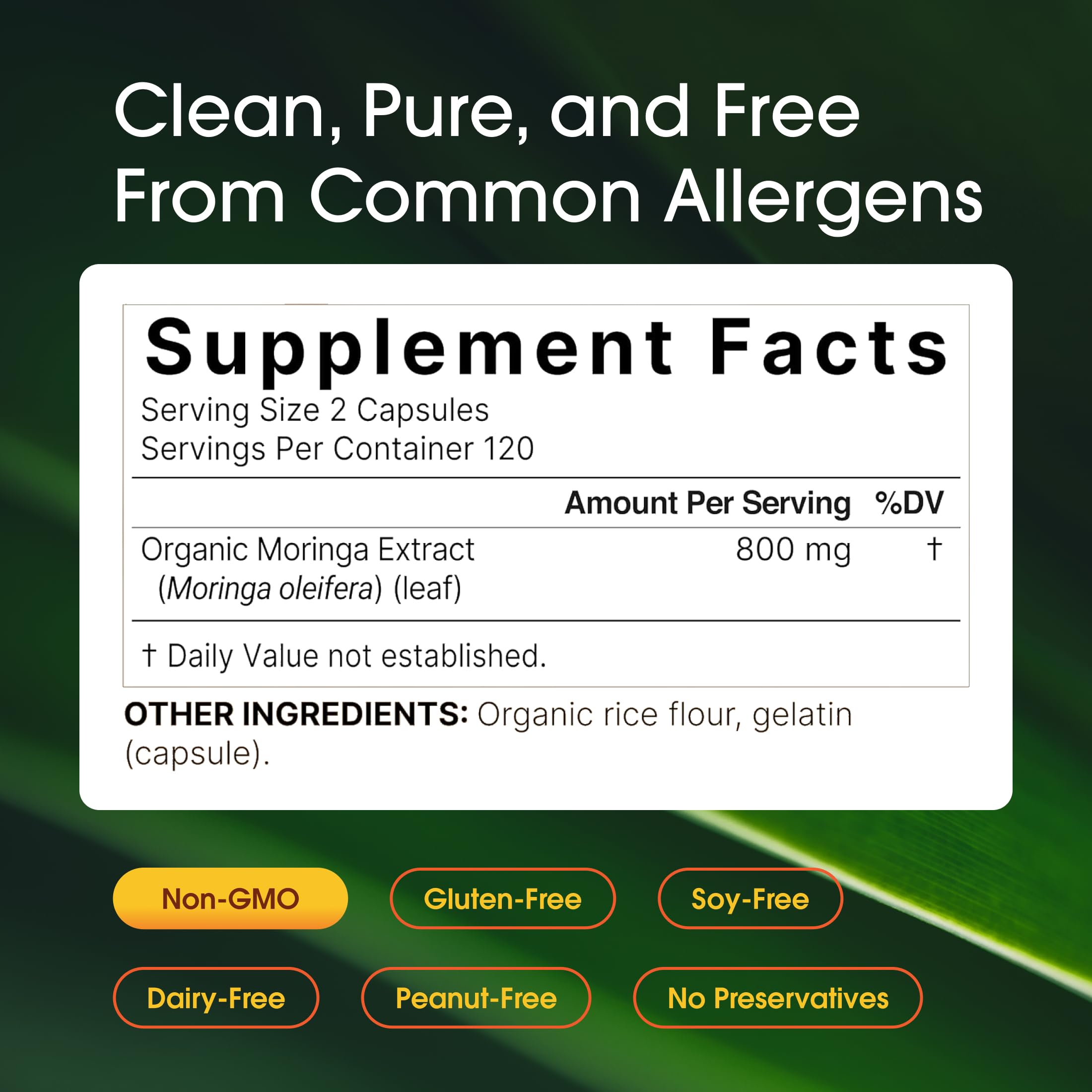 NatureBell Moringa 800 mg Capsules for Immune Support

