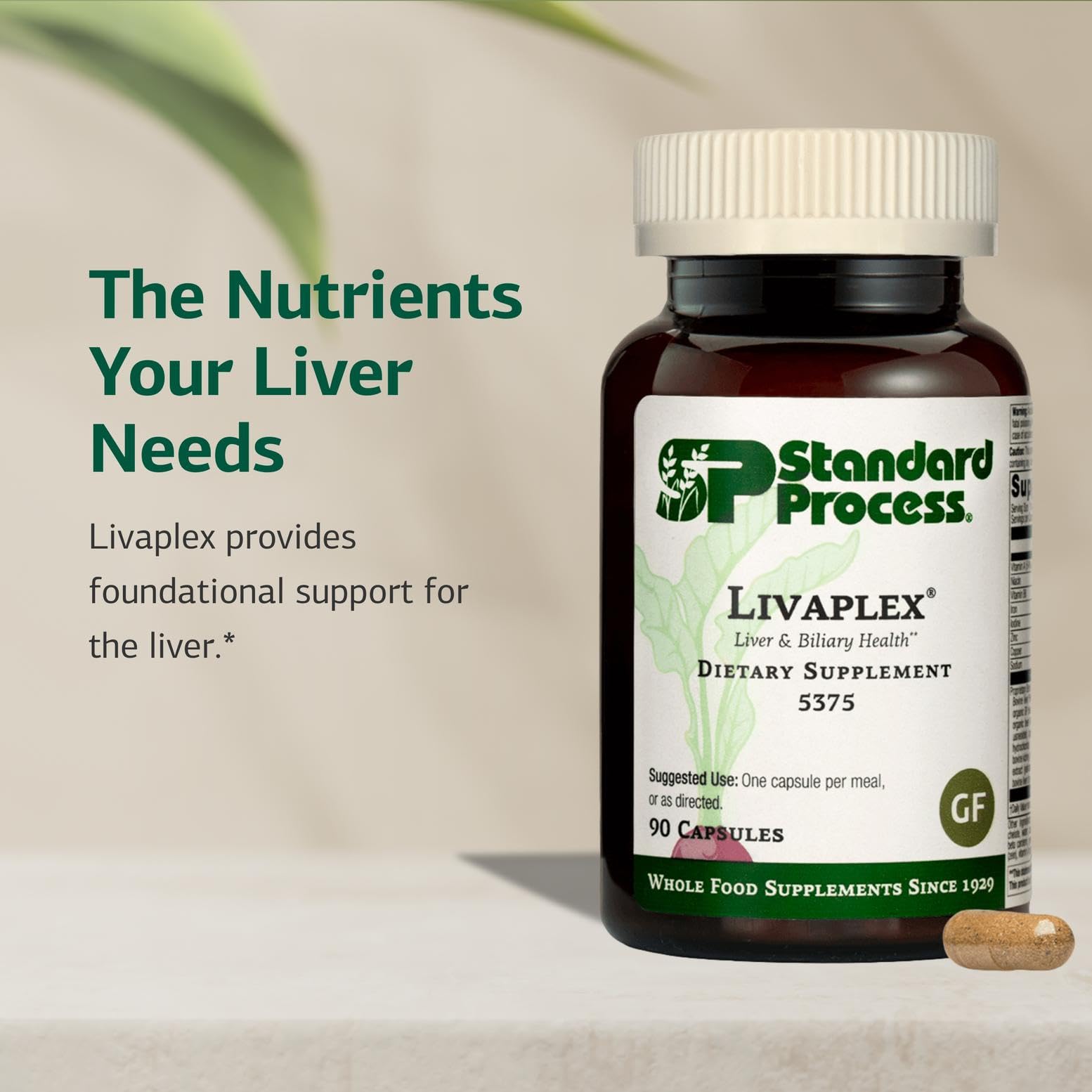 Livaplex Digestive and Liver Health | Standard Process

