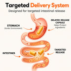 CandAssist Balance ONE Candida Cleanse Support


