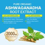 Ashwagandha Gummies – Herbal Supplement

