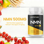 Enprotess Sublingual NMN 500mg Supplement | NAD Support

