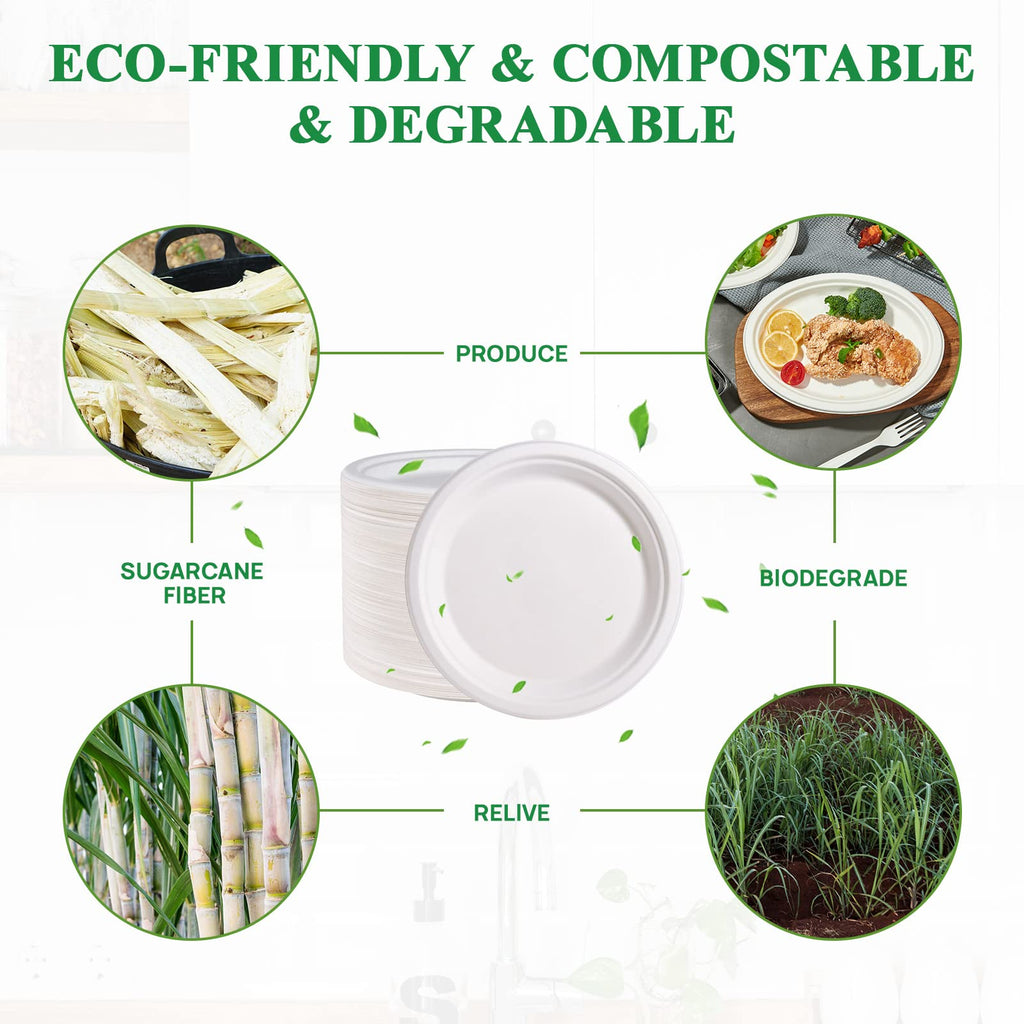 Vplus Bagasse Paper Plates – Compostable Heavy-Duty

