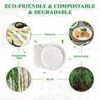 Vplus Bagasse Paper Plates – Compostable Heavy-Duty


