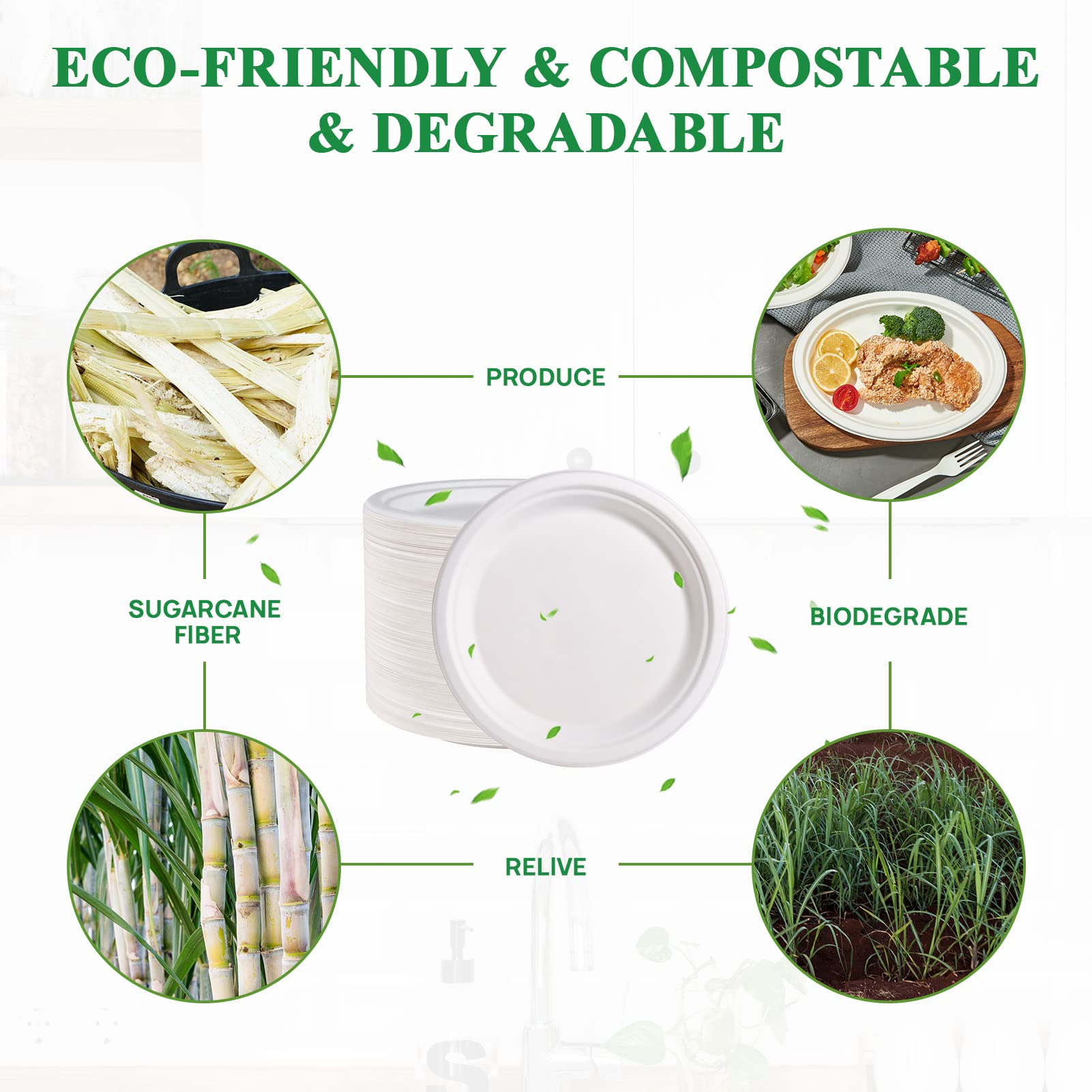 Vplus Bagasse Paper Plates – Compostable Heavy-Duty

