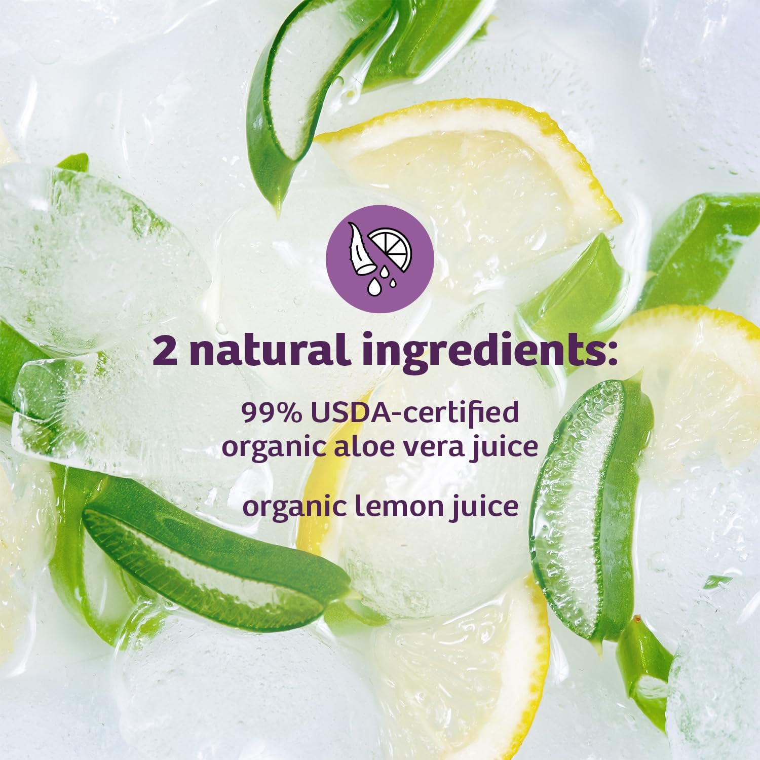 Aloe Vera Juice by Lily of the Desert Preservative-Free

