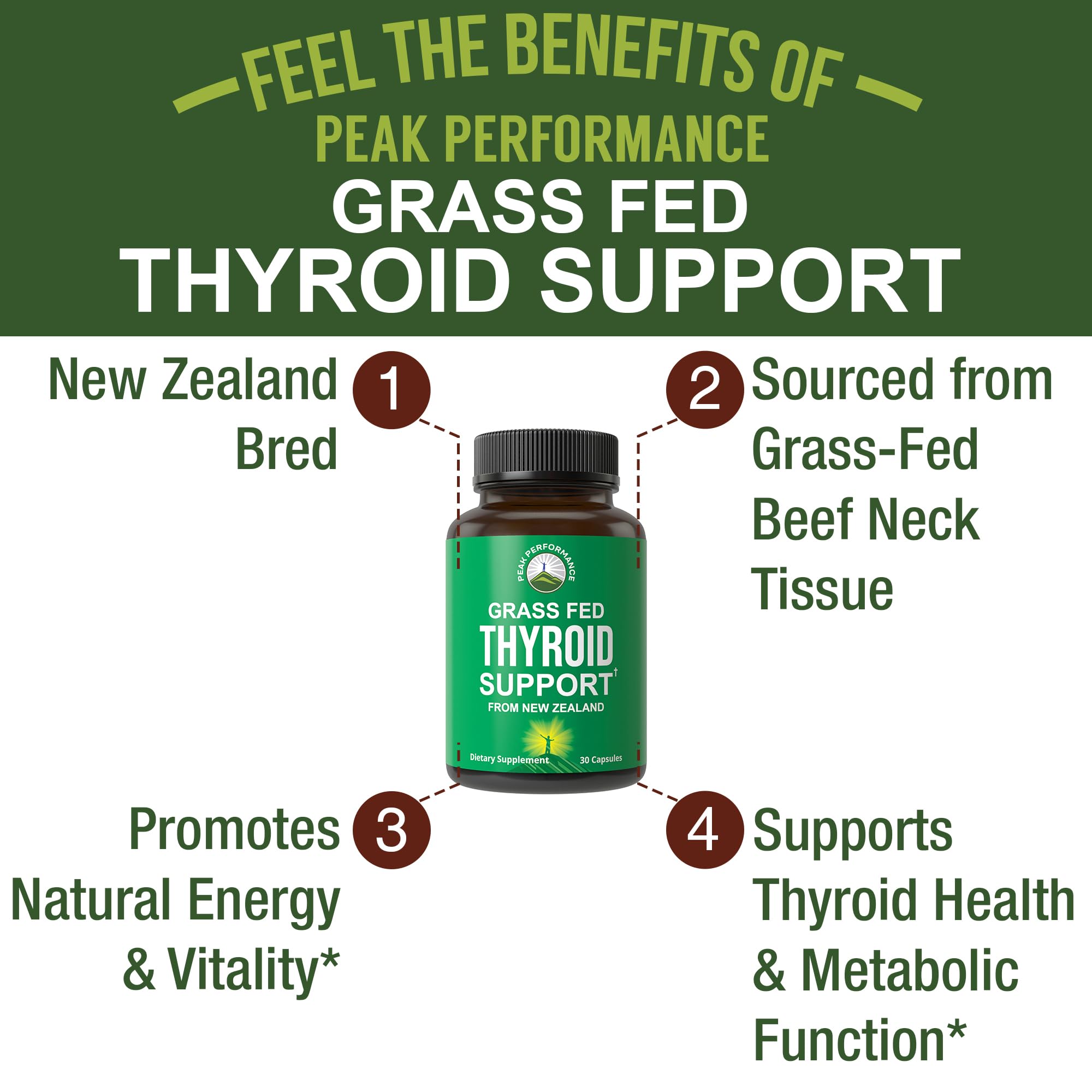 Beef Thyroid Glandular Capsules - Desiccated Thyroid Support

