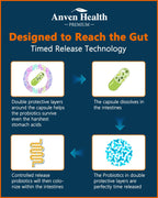 Digestive Health Dietary Supplement | Gut Support

