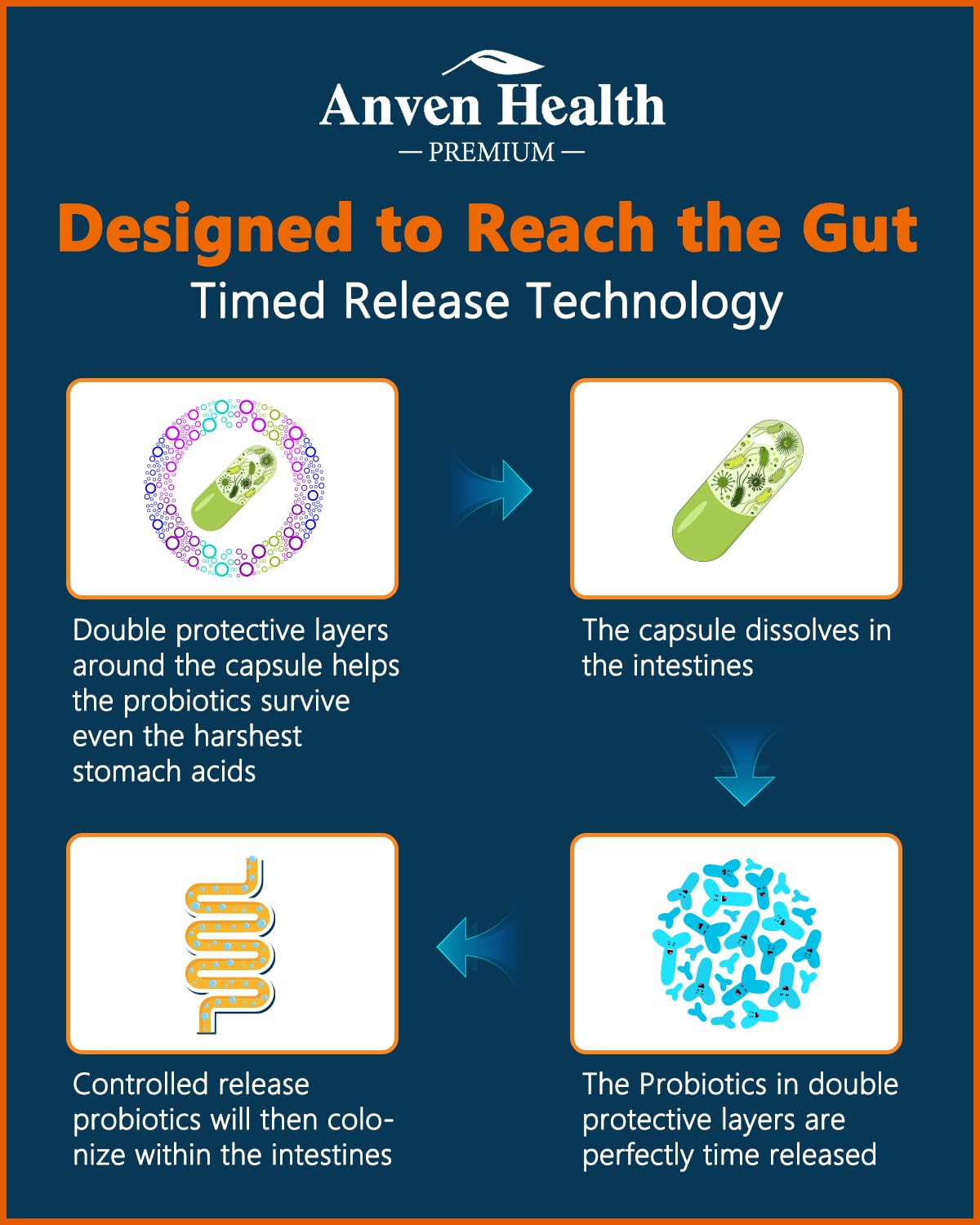 Digestive Health Dietary Supplement | Gut Support

