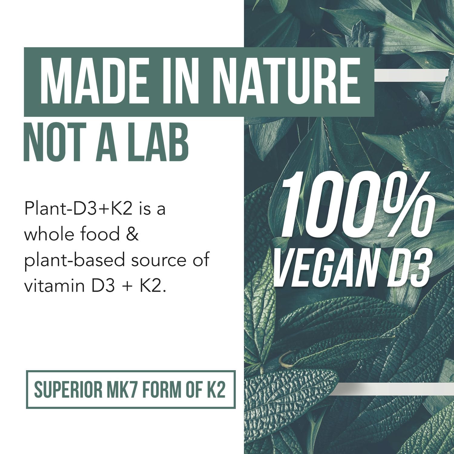 Organic Plant D3 + K2 Vitamin D3 K2 Supplement MenaQ7 MK7

