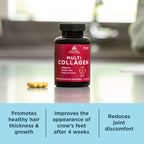 Ancient Nutrition Collagen Peptides Supplement

