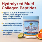 Terranics Multi Collagen Peptides Powder Unflavored|Type I-X

