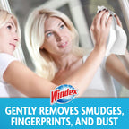Windex Glass Cleaning Wipes Original Scent


