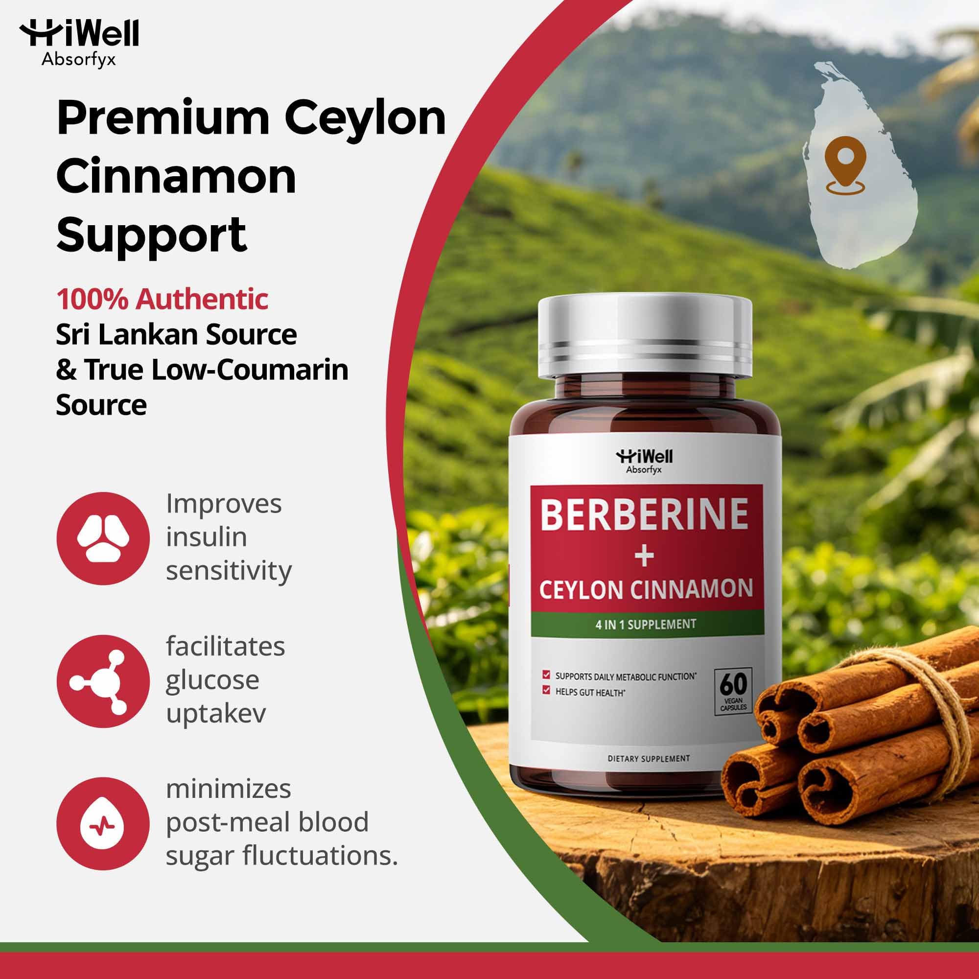 HiWell Metabolic Support Complex | Dietary Supplement

