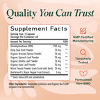 DIM Supplement for Women | SMNutrition Estrogen Balance

