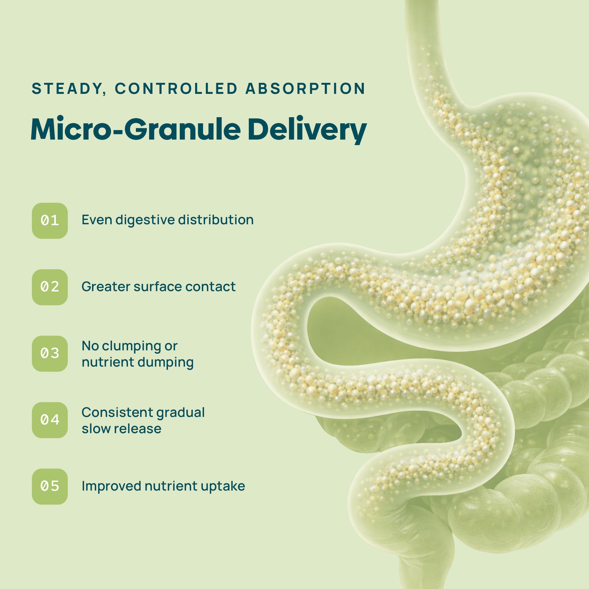 C15:0 Pentadecanoic Acid Supplement for Cellular Health

