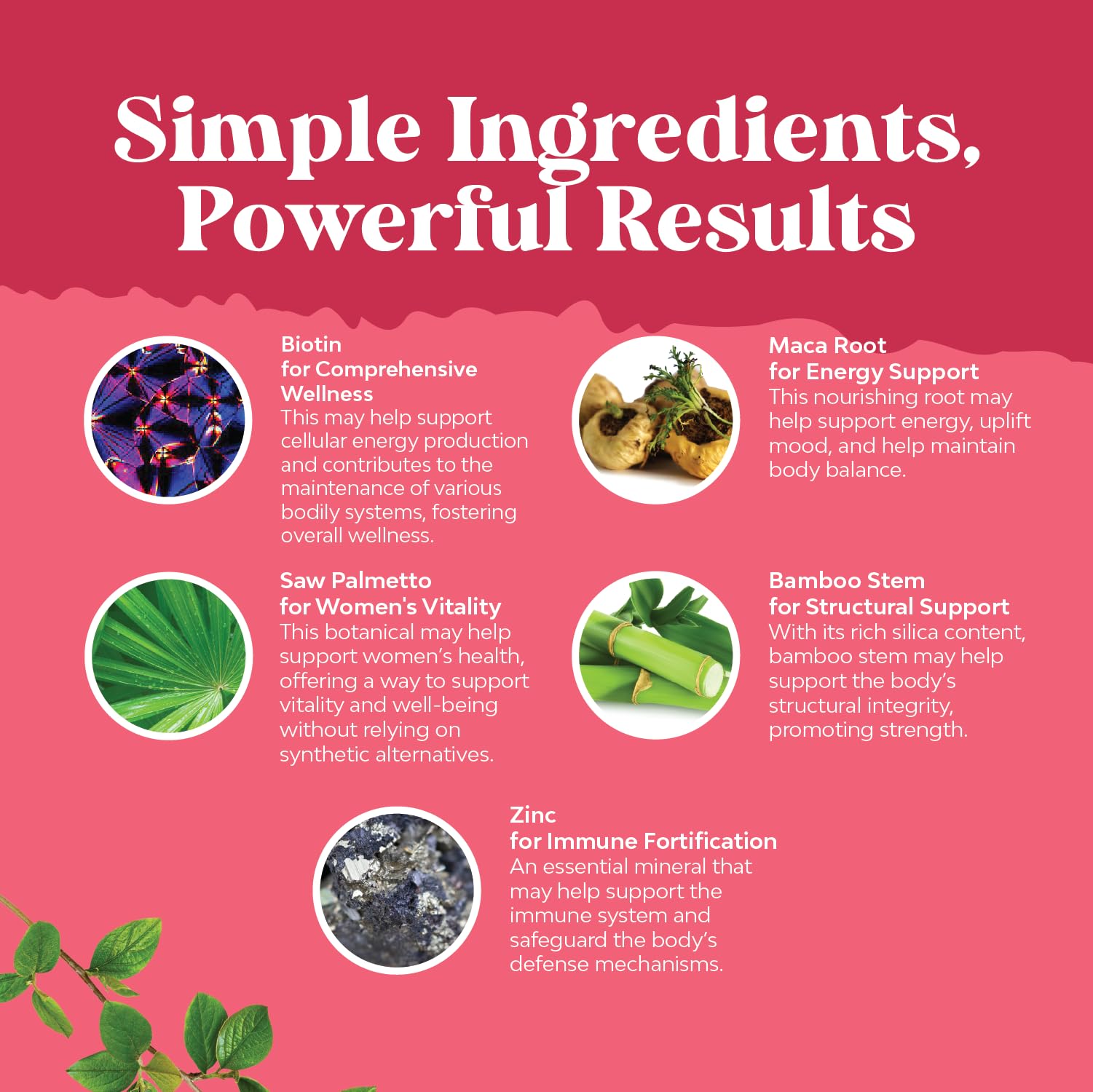 Saw Palmetto for Women 500 mg – Hair Support

