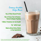 Orgain Plant Protein Powder + Collagen with Probiotics

