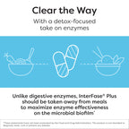 Klaire Labs Interfase Plus Digestive Enzymes for GI Support

