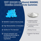 Healtionist Creatine Monohydrate Gummies Dietary Supplement

