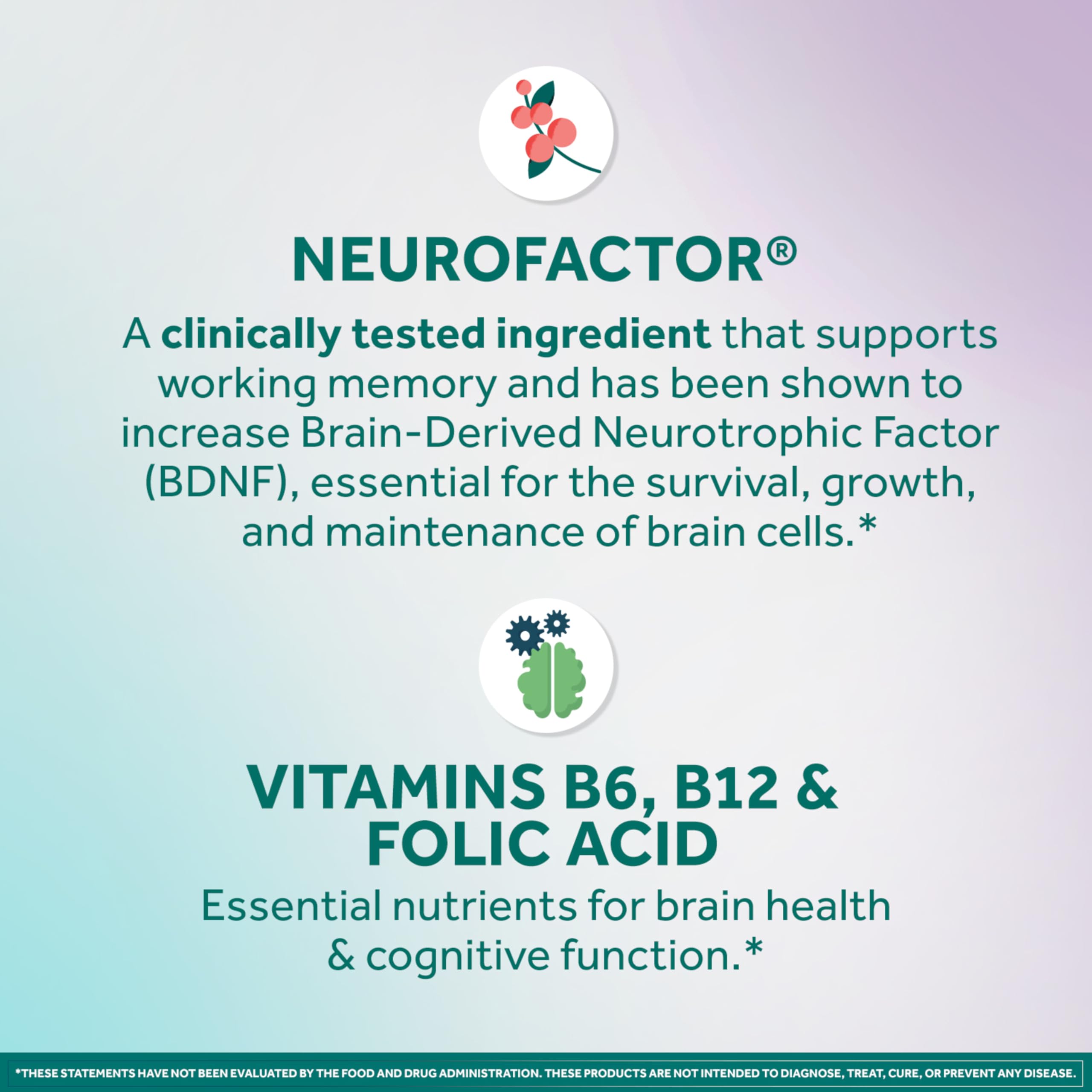 Neuriva Memory Brain Supplement for Focus

