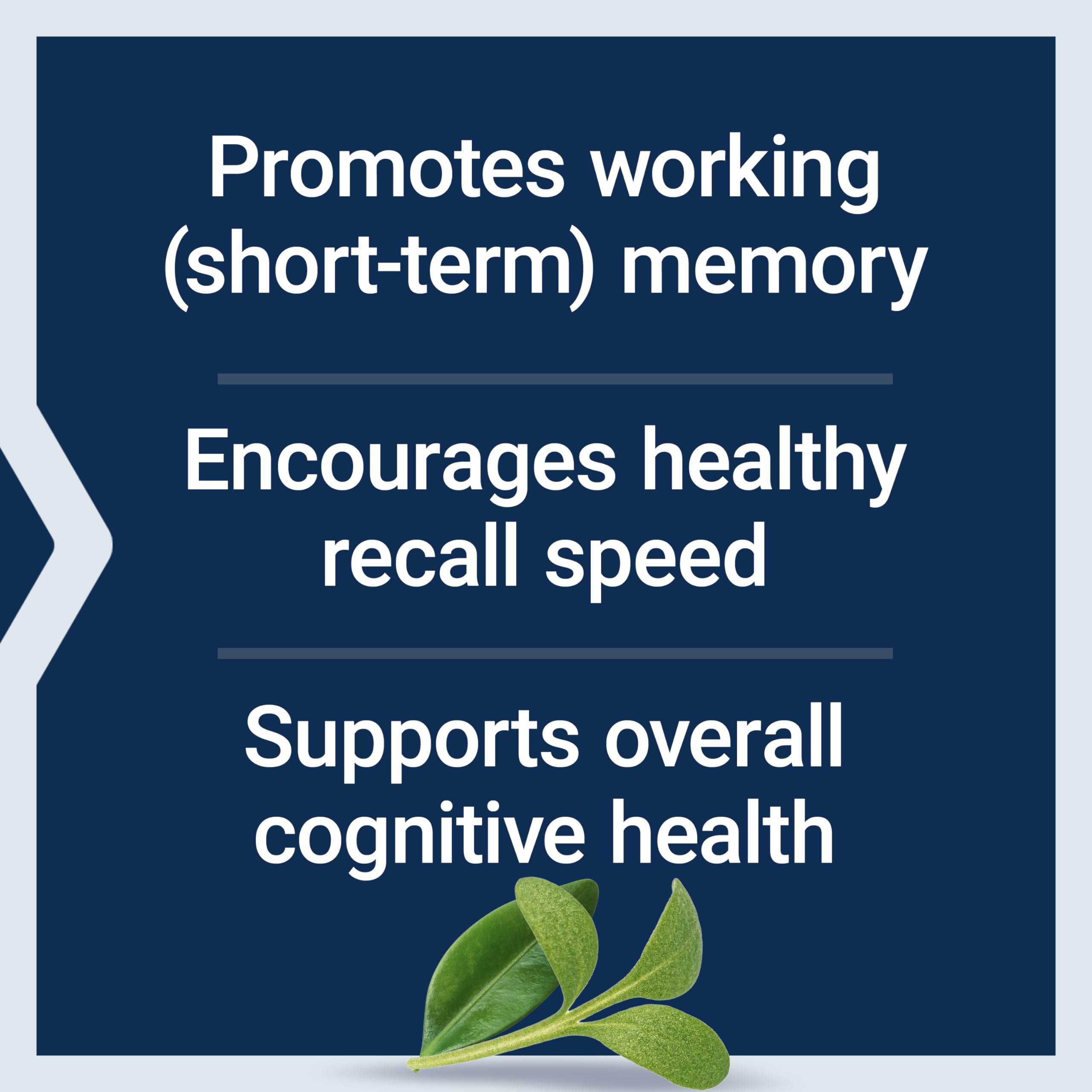 Life Extension Neuro-Mag L-Threonate Powder | Brain Support

