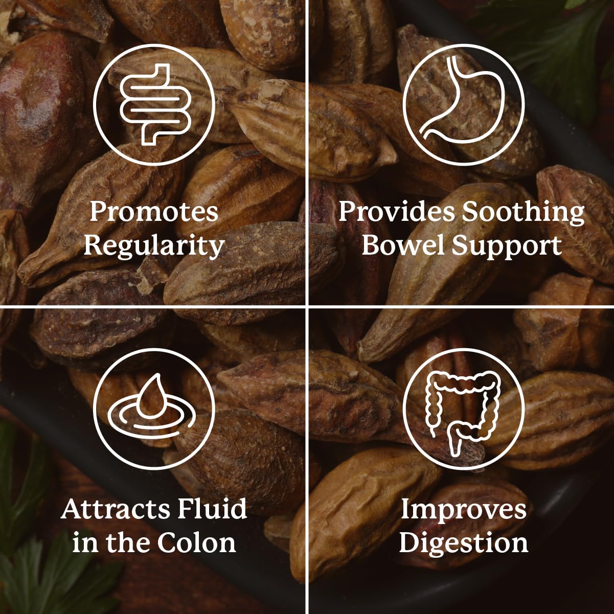 Nature's Sunshine Gentle Move Digestive Support

