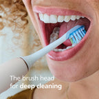 Philips Sonicare C3 Two-in-One Replacement Brush Heads

