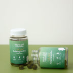 Ashwagandha + Zinc Gummies for Stress Support | Vegan Daily

