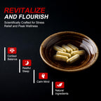 DLNIA Cortisol Support Supplement | Plant-Based Wellness

