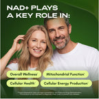 Cata-Kor Liposomal NAD with Resveratrol – NAD+ Support

