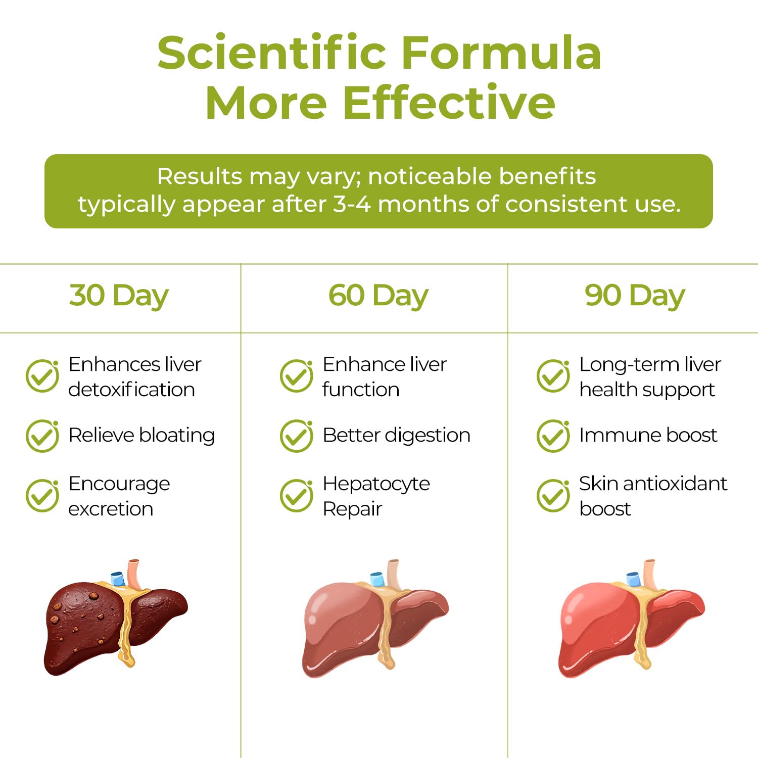 OxyEnergy Silymarin Milk Thistle Liver Detox Supplement


