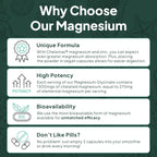 Organics Ocean Magnesium Glycinate with Zinc | Sleep Support

