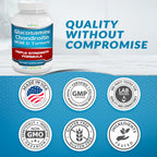 VitaBreeze Glucosamine Chondroitin MSM Turmeric Supplement

